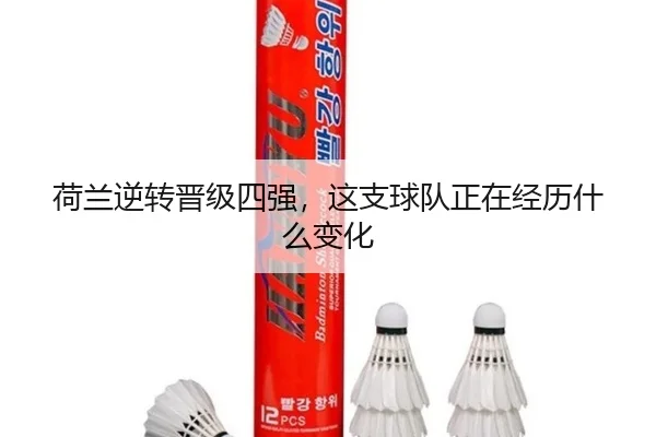 荷兰逆转晋级四强，这支球队正在经历什么变化