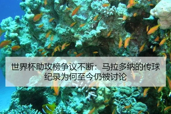 世界杯助攻榜争议不断：马拉多纳的传球纪录为何至今仍被讨论